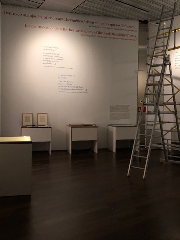 A picture of a museum exhibit under construction, with ladders set up.