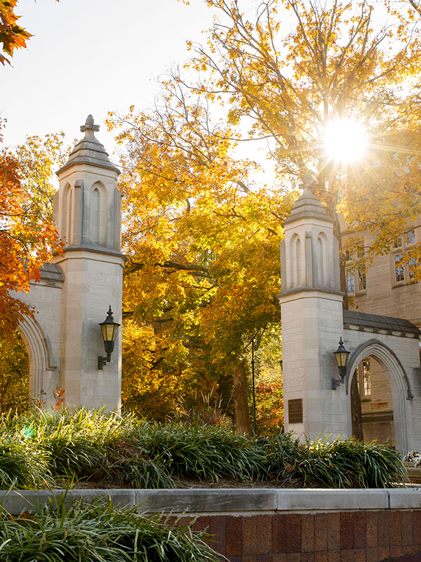 The Sample Gates among fall foliage on campus.