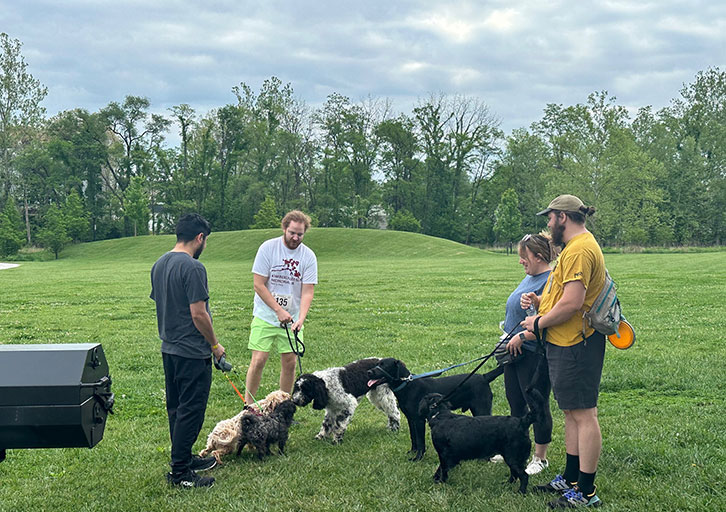 People talk while their dogs interact with each other.